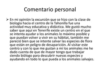 Comentario personal
 En mi opinión la excursión que se hizo con la clase de
biología hacia el centro de la Tahonilla fue una
actividad muy educativa y didáctica. Me gustó mucho
saber que aquí en Tenerife existe un centro en el que
se intenta ayudar a los animales lo máximo posible y
que puedan volver a vivir en su hábitat, también me
pareció bien que se intente salvar las especies de flora
que están en peligro de desaparición. Al visitar este
centro y con lo que me gustan a mi los animales me he
dado cuenta de que de mayor tengo que trabajar
siendo biólogo para descubrir nuevas especies y
ayudando en todo lo que pueda a los animales salvajes.
 