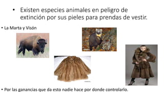 • Existen especies animales en peligro de
extinción por sus pieles para prendas de vestir.
• La Marta y Visón
• Por las ganancias que da esto nadie hace por donde controlarlo.
 