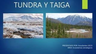 TUNDRA Y TAIGA
PRESENTADO POR: Estudiantes USCO
AREA: Ecosistemas estratégicos
 