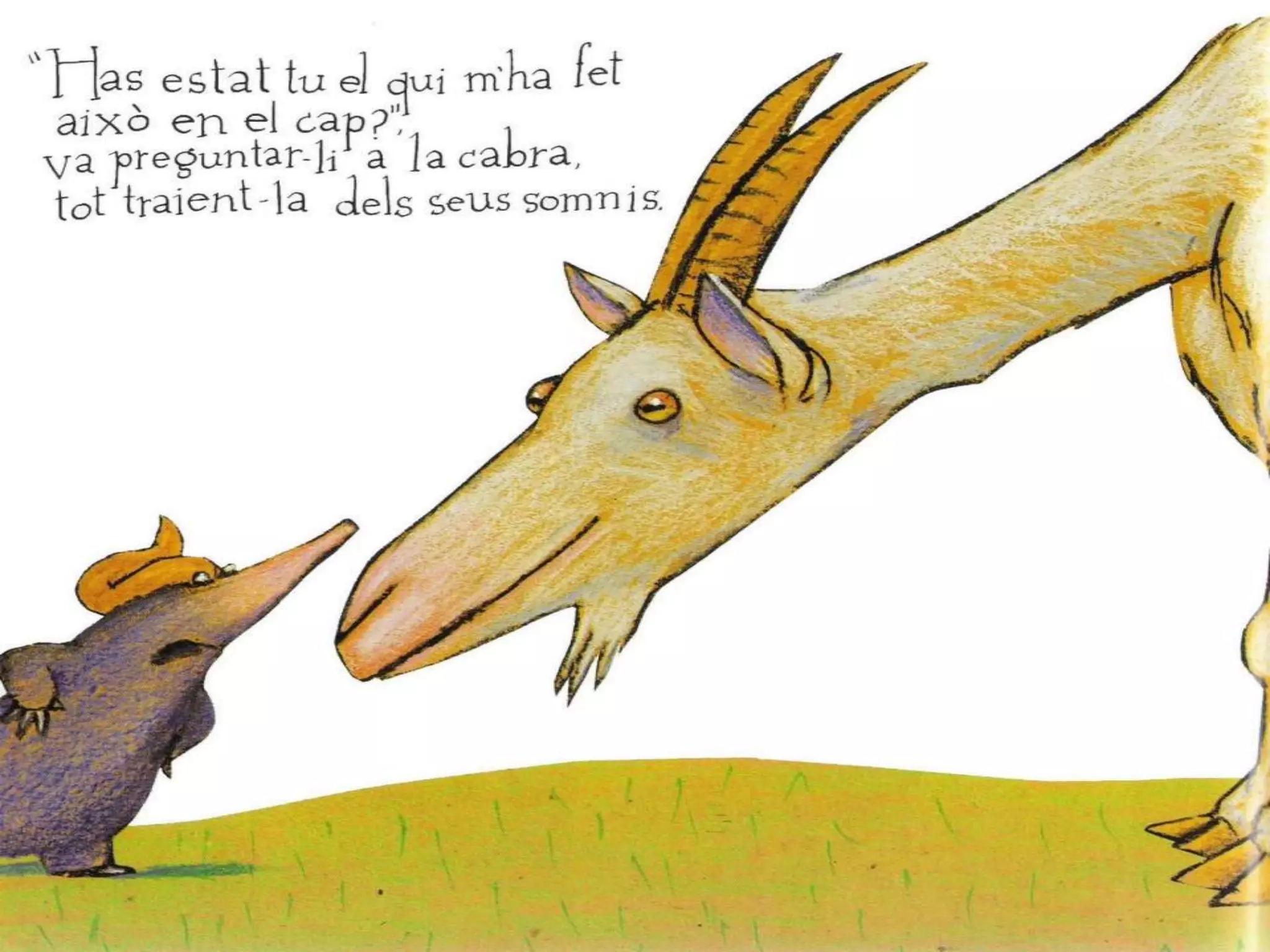 Latalpetaquevoliasaberquilihaviafetallenelcap 100716024110-phpapp02