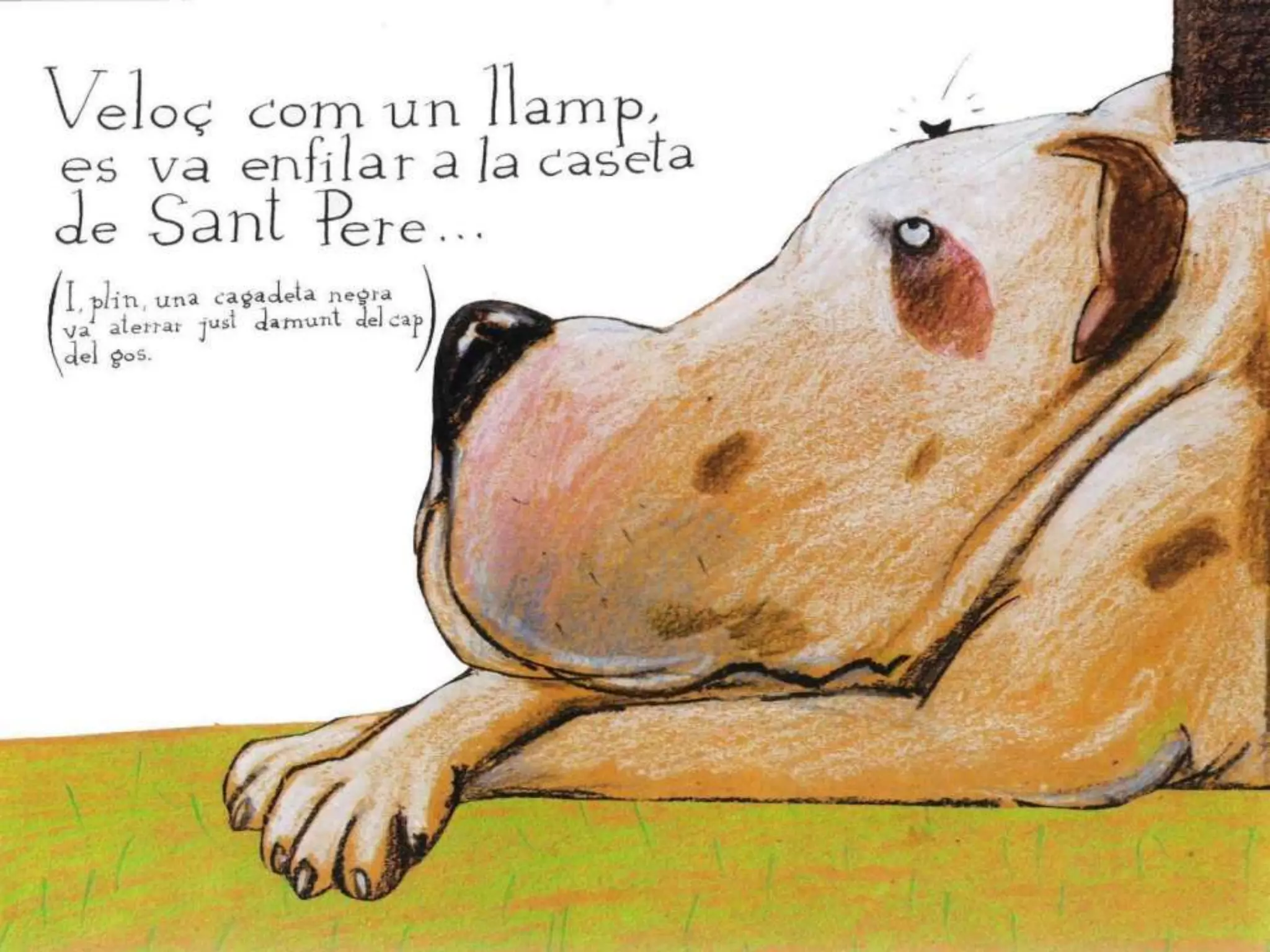 Latalpetaquevoliasaberquilihaviafetallenelcap 100716024110-phpapp02