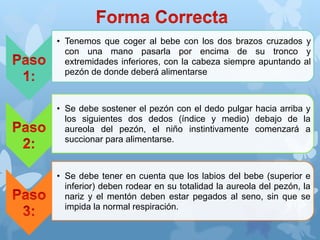 • Tenemos que coger al bebe con los dos brazos cruzados y
con una mano pasarla por encima de su tronco y
extremidades inferiores, con la cabeza siempre apuntando al
pezón de donde deberá alimentarse
• Se debe sostener el pezón con el dedo pulgar hacia arriba y
los siguientes dos dedos (índice y medio) debajo de la
aureola del pezón, el niño instintivamente comenzará a
succionar para alimentarse.
• Se debe tener en cuenta que los labios del bebe (superior e
inferior) deben rodear en su totalidad la aureola del pezón, la
nariz y el mentón deben estar pegados al seno, sin que se
impida la normal respiración.
 