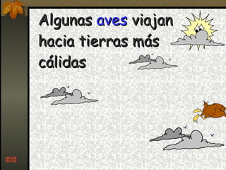 Algunas  aves  viajan hacia tierras más cálidas 