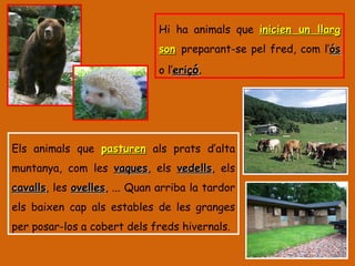 Hi ha animals que  inicien un llarg son   preparant-se pel fred, com l’ ós  o l’ eriç ó . Els animals que  pasturen  als prats d’alta muntanya, com les  vaques , els  vedells , els  cavalls , les  ovelles , ... Quan arriba la tardor els baixen cap als estables de les granges per posar-los a cobert dels freds hivernals. 