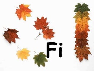 Fi   