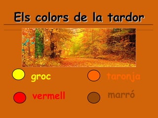 Els colors de la tardor groc vermell marró taronja 