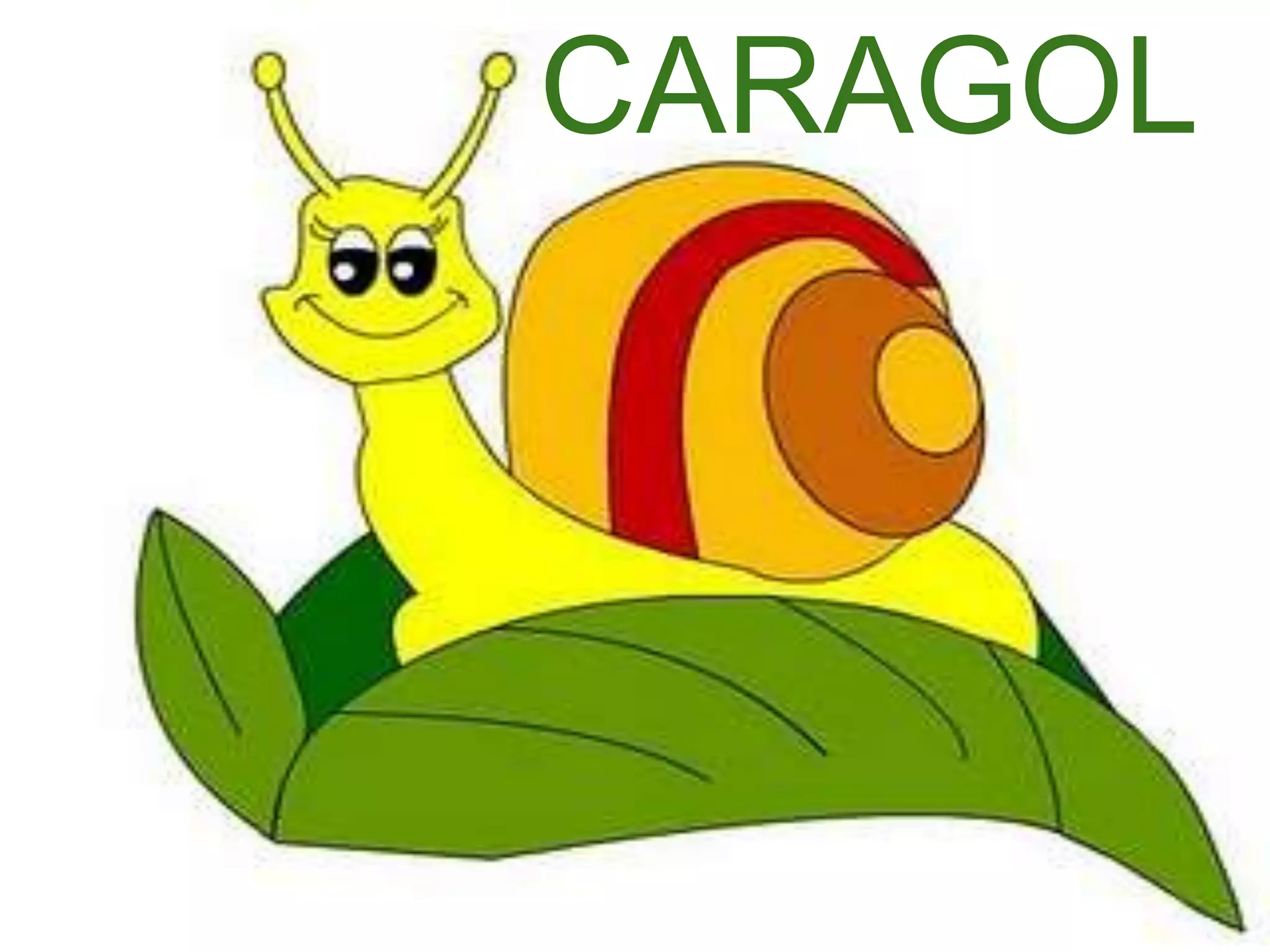 CARAGOL