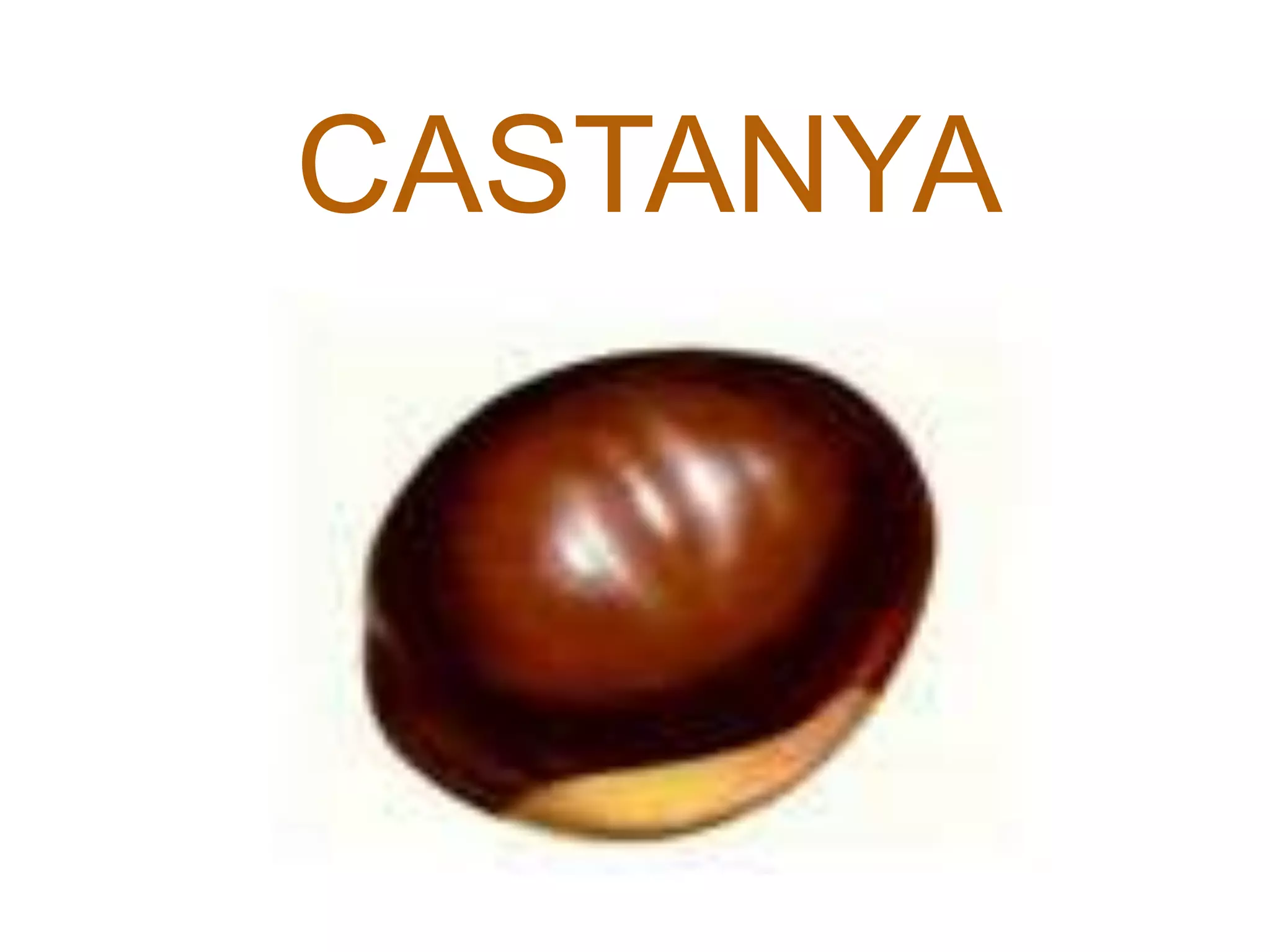 CASTANYA