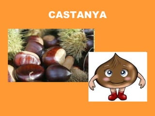 CASTANYA 