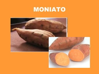 MONIATO 