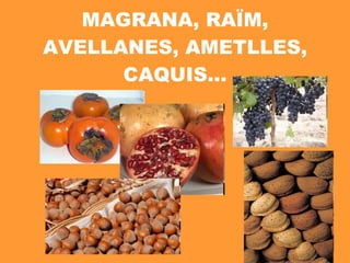 MAGRANA, RAÏM, AVELLANES, AMETLLES, CAQUIS… 