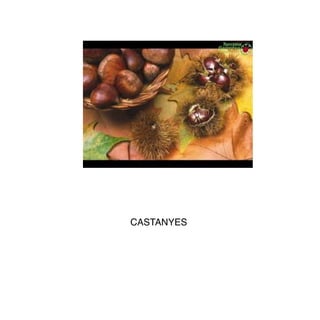 CASTANYES
 