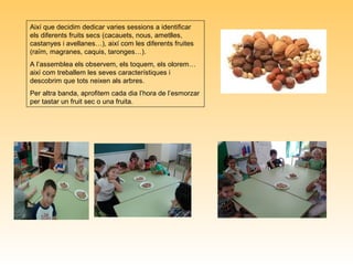 Així que decidim dedicar varies sessions a identificar
els diferents fruits secs (cacauets, nous, ametlles,
castanyes i avellanes…), així com les diferents fruites
(raïm, magranes, caquis, taronges…).
A l’assemblea els observem, els toquem, els olorem…
així com treballem les seves característiques i
descobrim que tots neixen als arbres.
Per altra banda, aprofitem cada dia l’hora de l’esmorzar
per tastar un fruit sec o una fruita.
 