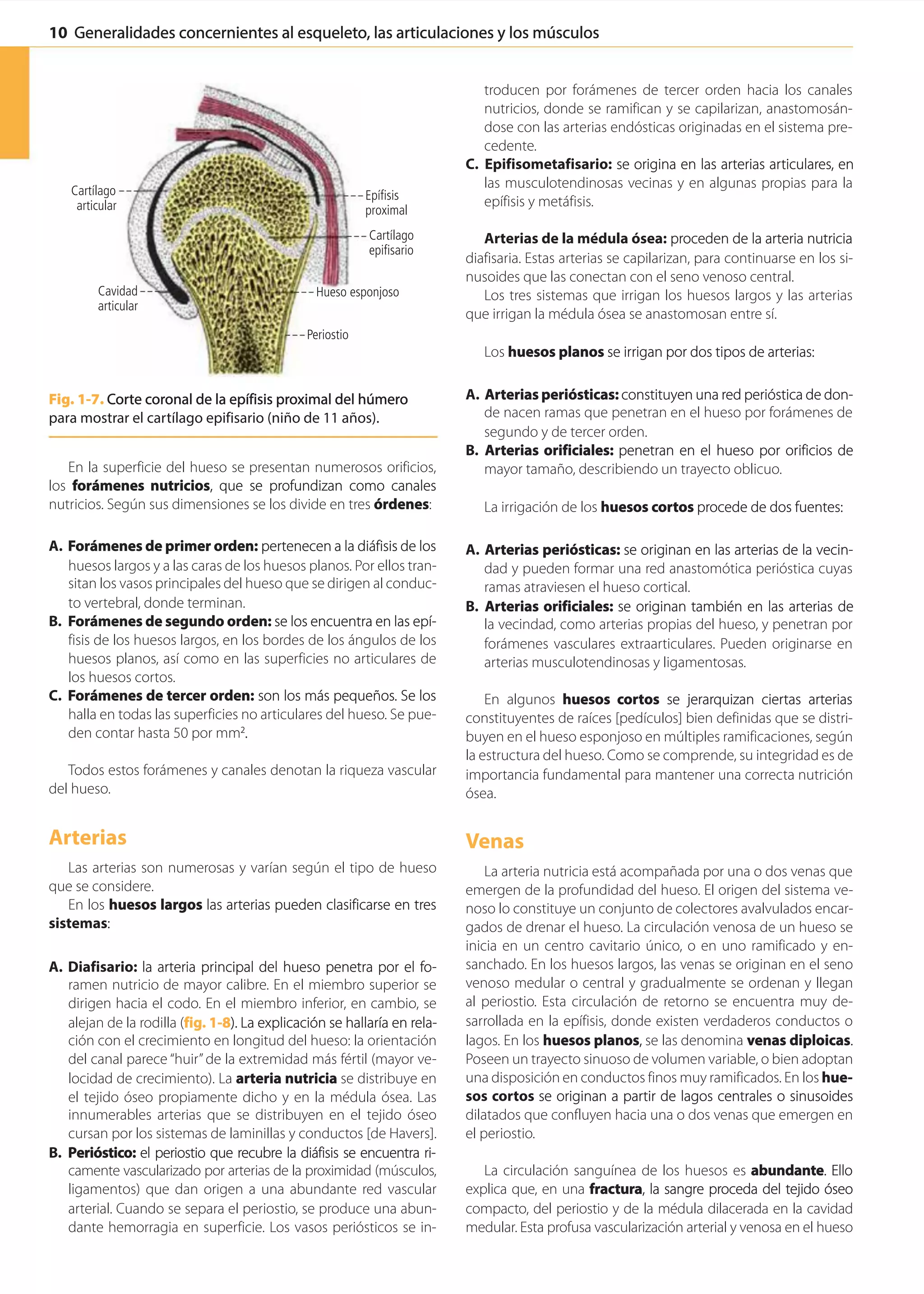 Latarjet Ruiz Liard Anatomia Humana 5a Edicion T1 1 Pdf