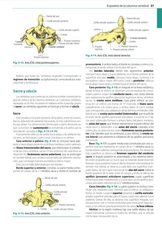 Latarjet - Ruiz Liard Anatomia Humana 5a Edicion T1 (1).pdf
