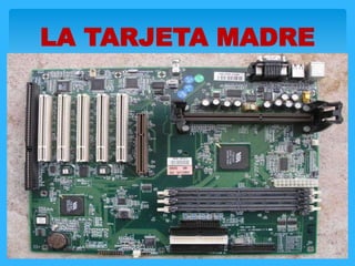 LA TARJETA MADRE
 