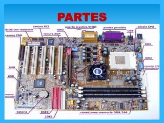 PARTES
 