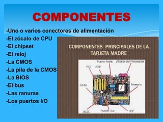 -Uno o varios conectores de alimentación
-El zócalo de CPU
-El chipset
-El reloj
-La CMOS
-La pila de la CMOS
-La BIOS
-El bus
-Las ranuras
-Los puertos I/O
COMPONENTES
 