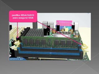 pestillos RESALTADOS para asegurar RAM