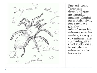 Fue así, como 
Tarántula 
descubrió que 
no necesita 
muchas plantas 
para poder vivir, 
pues no hace 
grandes 
telarañas ...