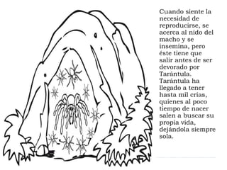 Cuando siente la 
necesidad de 
reproducirse, se 
acerca al nido del 
macho y se 
insemina, pero 
éste tiene que 
salir an...