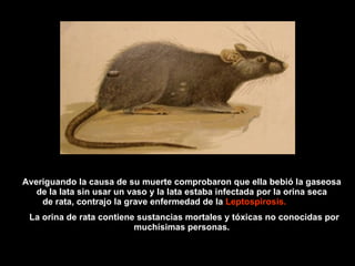 Averiguando la causa de su muerte comprobaron que ella bebió la gaseosa de la lata sin usar un vaso y la lata estaba infectada por la orina seca de rata, contrajo la grave enfermedad de la  Leptospirosis.   La orina de rata contiene sustancias mortales y tóxicas no conocidas por muchísimas personas. 