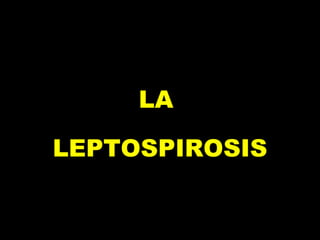 LA  LEPTOSPIROSIS 