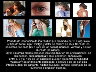 Período de incubación de 2 a 26 días (un promedio de 10 días). Inicio súbito de fiebre, rigor, mialgia y dolor de cabeza en 75 a 100% de los pacientes, tos seca (25 a 35% de los casos), náuseas, vómitos y diarrea (50% de los casos).  Otros síntomas menos comunes incluyen dolor en las articulaciones, en los huesos, en la garganta y en el abdomen, conjuntivitis. Entre el 7 y el 40% de los pacientes pueden presentar sensibilidad muscular y agrandamiento del hígado, del bazo o de los ganglios linfáticos, dolor de garganta, rigidez muscular, sonidos anormales de los pulmones o erupción cutánea. 