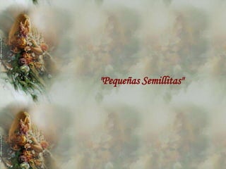 "Pequeñas Semillitas"
 