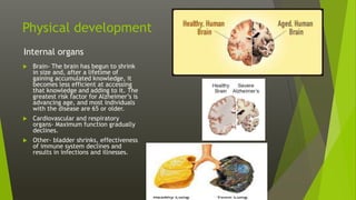 Physical development
Internal organs
 Brain- The brain has begun to shrink
in size and, after a lifetime of
gaining accumulated knowledge, it
becomes less efficient at accessing
that knowledge and adding to it. The
greatest risk factor for Alzheimer’s is
advancing age, and most individuals
with the disease are 65 or older.
 Cardiovascular and respiratory
organs- Maximum function gradually
declines.
 Other- bladder shrinks, effectiveness
of immune system declines and
results in infections and illnesses.
 