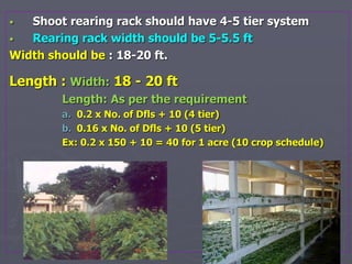 Late age rearing presentation related to sericulture.ppt