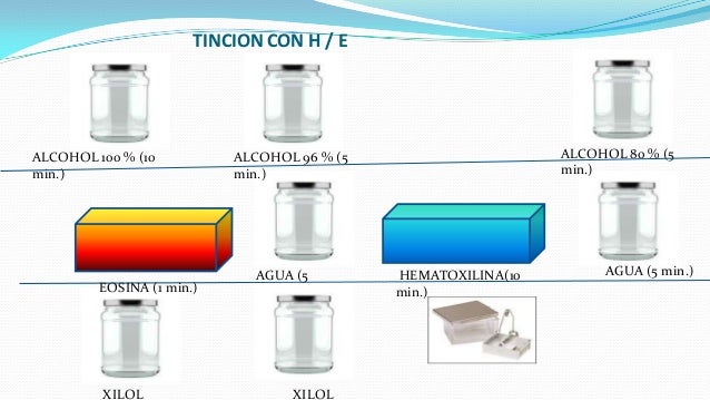 La tecnica de parafina