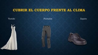 CUBRIR EL CUERPO FRENTE AL CLIMA
Vestido Pantalón Zapato