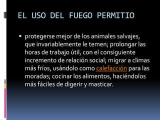 EL USO DEL FUEGO PERMITIOprotegerse mejor de los animales salvajes, que invariablemente le temen; prolongar las horas de trabajo útil, con el consiguiente incremento de relación social; migrar a climas más fríos, usándolo como calefacción para las moradas; cocinar los alimentos, haciéndolos más fáciles de digerir y masticar. 
