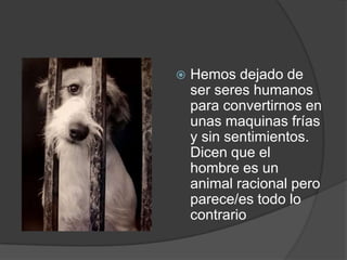    Hemos dejado de
    ser seres humanos
    para convertirnos en
    unas maquinas frías
    y sin sentimientos.
    Dicen que el
    hombre es un
    animal racional pero
    parece/es todo lo
    contrario
 