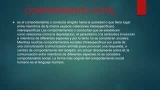 COMPORTAMIENTO SOCIAL
 es el comportamiento o conducta dirigido hacia la sociedad o que tiene lugar
entre miembros de la misma especie (relaciones interespecificas).
interespecificas Los comportamientos o conductas que se establecen
como relaciones (como la depredacion, el parasitismo o la simbiosis) involucran
a miembros de diferentes especies y por lo tanto no se consideran sociales.
Mientras muchos comportamientos sociales intraespecíficos son parte de
una comunicación (comunicación animal) pues provocan una respuesta, o
cambio de comportamiento del receptor, sin actuar directamente sobre él; la
comunicación entre miembros de diferentes especies no se considera
comportamiento social. La forma más original del comportamiento social
humano es el lenguaje humano.
 