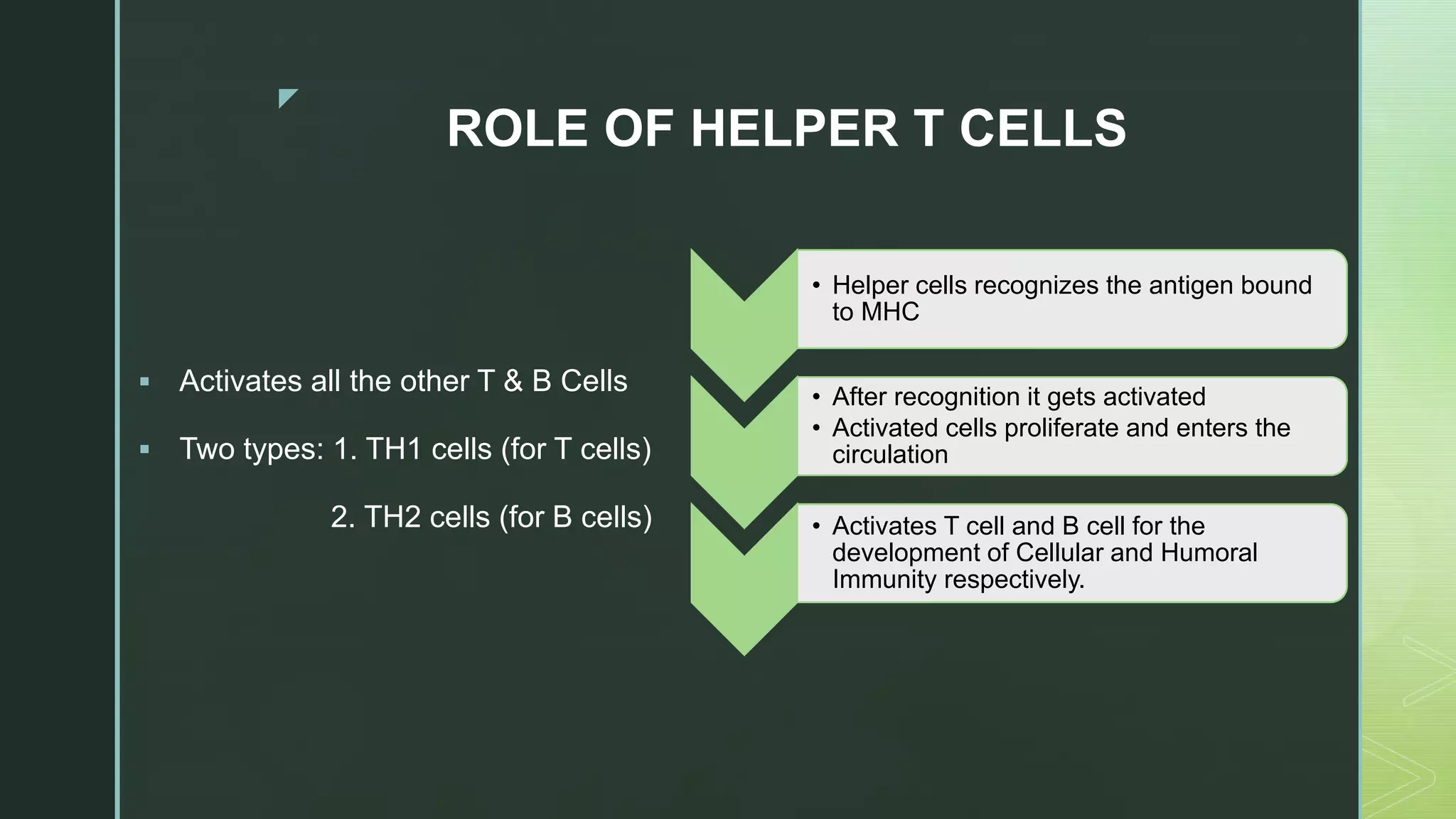 z
ROLE OF HELPER T CELLS
 Activates all the other T & B Cells
 Two types: 1. TH1 cells (for T cells)
2. TH2 cells (for B cells)
• Helper cells recognizes the antigen bound
to MHC
• After recognition it gets activated
• Activated cells proliferate and enters the
circulation
• Activates T cell and B cell for the
development of Cellular and Humoral
Immunity respectively.
 