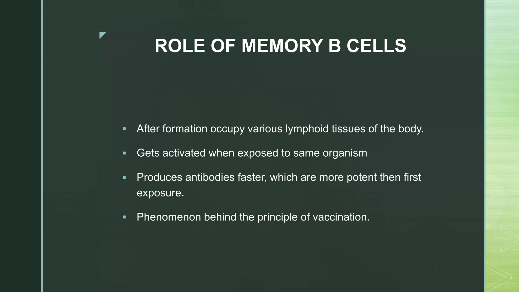 z
ROLE OF MEMORY B CELLS
 After formation occupy various lymphoid tissues of the body.
 Gets activated when exposed to same organism
 Produces antibodies faster, which are more potent then first
exposure.
 Phenomenon behind the principle of vaccination.
 