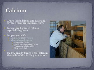 CalciumGrains (corn, barley, and oats) and soybean meal are low in calcium.Forages are higher in calcium, especially legumes.Supplemental Ca Complete grain mixes Mineral supplements Limestone (38%)Dicalcium phosphate (25%)Trace minerals (14-18%)Kelp (2.7% Ca)If a low quality forage is fed, calcium should be added to the grain ration.