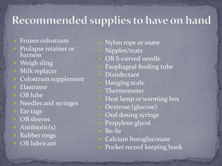 Recommended supplies to have on handFrozen colostrumProlapse retainer or harnessWeigh slingMilk replacerColostrum supplementElastratorOB lubeNeedles and syringesEar tagsOB sleevesAntibiotic(s)Rubber ringsOB lubricantNylon rope or snare