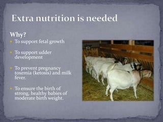 Extra nutrition is neededWhy?To support fetal growthTo support udder developmentTo prevent pregnancy toxemia (ketosis) and milk fever.To ensure the birth of strong, healthy babies of moderate birth weight.