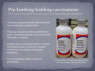Pre-lambing/kidding vaccinationsCD-T: clostridium perfringins type C & D (overeating disease) and tetanus<br />Vaccinate p...