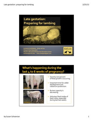 Late gestation: preparing for lambing                                                            2/25/12




                        SUSAN SCHOENIAN    (Shāy‐nē‐ŭn)
                        Sheep & Goat Specialist
                        Western Maryland Research & Education Center
                        sschoen@umd.edu  ‐ www.sheepandgoat.com




                                                                 Seventy (70) percent 
                                                                 of fetal growth is occurring.
                                                                 of fetal growth is occurring

                                                                 Important time for udder 
                                                                 development and 
                                                                 colostrum production.
                         NEEDS 
                                                                 Rumen capacity is 
                                                                 decreasing.
                                                                 decreasing

                                                                 Voluntary feed intake of 
                                                                 feed is less, especially 
                                                                 during last two weeks.
                         INTAKE 




by Susan Schoenian                                                                                    1
 