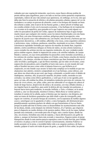 rodeados por una vegetación tentacular, succívora, cuyas fauces ubicuas podían de
pronto abrirse para engullirnos, pues a mi lado se movían ciertos penachos respiratorios,
espiralados, indicio de una vida animal cuya apariencia, sin embargo, no lo era, sino que
daba más bien la sensación de árboles o de plantas pensantes, plantas capaces tal vez de
trasladarse a su antojo en procura de alimento, como si los bosques del mundo un buen
día echaran a andar, ante el pavor de las buenas gentes, y ahora advertí el trabajo que
me costaba exhalar el aire con la necesaria economía, vi las burbujas de mi respiración
ir a reventar en la superficie, pero pensaba en lo que Lupercio nos contó alguna vez
sobre los pescadores de perlas de Ceilán, capaces de mantenerse bajo el agua tiempo
mucho mayor que cualquier otro mortal, acaso los únicos familiarizados con esta fauna
y esta flora, con estas formaciones coralinas, peligrosas para la navegación, estas
especies de joyería cuya vida submarina era, con mucho, más diversa y hermosa que sus
aplicaciones decorativas, y allí estaban, adheridas a las rocas, como esqueletos calcáreos
y policromos, rojas, violáceas, parduscas, amarillas, mostrando en su ósea y llamativa
consistencia oquedades limitadas por especies de murallas de donde iban, esqueleto
adentro, ciertos asombrosos tabiques en forma de radios, en esta colonia numerosa, a
cuyos costados las actinias movían sus inquietos tentáculos, de cuyo verdadero poder
pocos estaban seguros, dando la impresión de cestas o de estrellas radiadas, de cuerpo
blando y carnoso, en cuyo torno pululaban los pececillos como monedas escurridizas, y
los ostiones de conchas rugosas reposaban en el fondo, como bastos estuches de interior
nacarado, y las almejas, crecidas en líneas concéntricas que iban formando estrías en el
cáliz invertido y puntiagudo, y qué de flores mentidas, qué de redes envolventes, como
esparaveles de pescadores, pero crispables al tacto más suave, en este mundo del cual
sabía el hombre tan poco como sobre el planeta Genoveva, que brillaría en el
crepúsculo, en este mundo cuyo arcano se haría más complejo en la medida en que nos
alejásemos mar adentro, misterio compendiado en el ojo bermejo, como rabioso, con
que ahora me observaba un pez azul, que luego, coleteando, se perdió entre el dédalo de
madréporas, mientras, allá, un pececito amarillo, de pintas verdes, mostraba su cara
cornuda y sus aletas como élitros quebradizos, y sentí que el aire se me agotaba, pero
quise ver más, allí estaban las jibias, de tentadores tentáculos provistos de ventosas, los
peces de vivos colores, oro, plata, cobre, pero me sobresalté al ver alguno de cabeza al
modo de largo hocico, desprovisto de aletas y de escamas, con muy afilados dientes, y
me impulsé hacia la superficie, para sentir la delicia del aire inundar mis pulmones, y
bracear hacia tierra para tenderme, la nereida Anfitrite, o Tetis, o Galatea, en la arena
caliente y, una vez descansada, mientras Cristina y María Rosa se vestían aprisa y
tomaban el camino de la cabaña, quiso el destino que me irguiera y me dirigiera, por
entre un tramo de heridores guamachos que debí eludir a paso de coreografía, pues
seguía sin vestirme, al cercano bosque de cocoteros, con la esperanza de tumbar algunos
cocos y amortiguar con la agualeche el sabor, a ratos hostigante, del abstinencial pero
paradójicamente suculento puchero de sábalo con que honraríamos el Jueves Santo,
porque no podía adivinar la forma como se desarrollaban los acontecimientos más allá
de las dunas, donde, como después me informó Federico, él y Cipriano, que eligieron
para el chapuzón un rumbo distinto al de nuestros padres, libres ya de las ropas, habían
pactado una contienda y convenido para ella el lugar, más o menos lejano, donde las
olas, sin erizarse, formaban una cinta de espuma, y hacia allá bracearon con garbo de
atletas y, aunque mi hermano fuera más avezado y musculoso, llegaron juntos al paraje
blanquecino donde la nata marina parecía esponjarse como la leche hervida, pero faltaba
el retorno a la playa y éste lo coronó Cipriano victoriosamente, mientras Federico se
tendía acezante en la arena, y recordaba haber oído a un cangrejo azulenco, de buen
tamaño, golpear el suelo con ruido de paso de gente, y aquello lo hizo saltar, las pinzas
 
