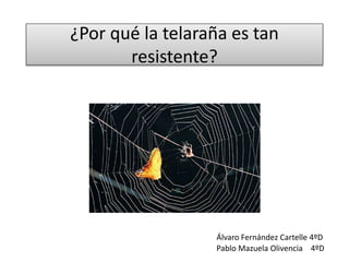 ¿Por qué la telaraña es tan
resistente?
Pablo Mazuela Olivencia 4ºD
Álvaro Fernández Cartelle 4ºD
 