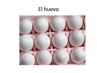 El huevo

 