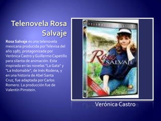 Telenovela Rosa SalvajeRosa Salvaje es una telenovela mexicana producida por Televisa del año 1987, protagonizada por Verónica Castro y Guillermo Capetillo para silanta de animación. Esta inspirada en las novelas "La Gata" y "La Indomable", de Inés Rodena, y en una historia de Abel Santa Cruz, fue adaptada por Carlos Romero. La producción fue de Valentín Pimstein.Verónica Castro