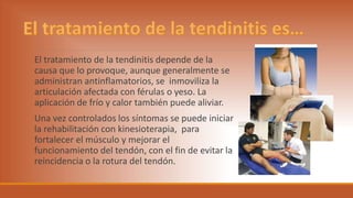 El tratamiento de la tendinitis depende de la
causa que lo provoque, aunque generalmente se
administran antinflamatorios, se inmoviliza la
articulación afectada con férulas o yeso. La
aplicación de frío y calor también puede aliviar.
Una vez controlados los síntomas se puede iniciar
la rehabilitación con kinesioterapia, para
fortalecer el músculo y mejorar el
funcionamiento del tendón, con el fin de evitar la
reincidencia o la rotura del tendón.
 