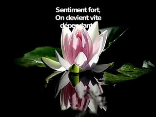 Sentiment fort, On devient vite dépendant ! 