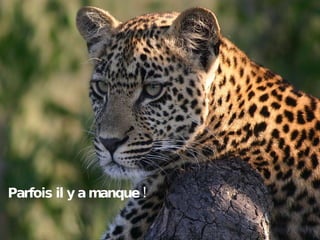 Parfois il y a manque ! 